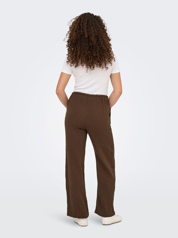 ONLY Regular Hose 'ONLThyra' in Braun