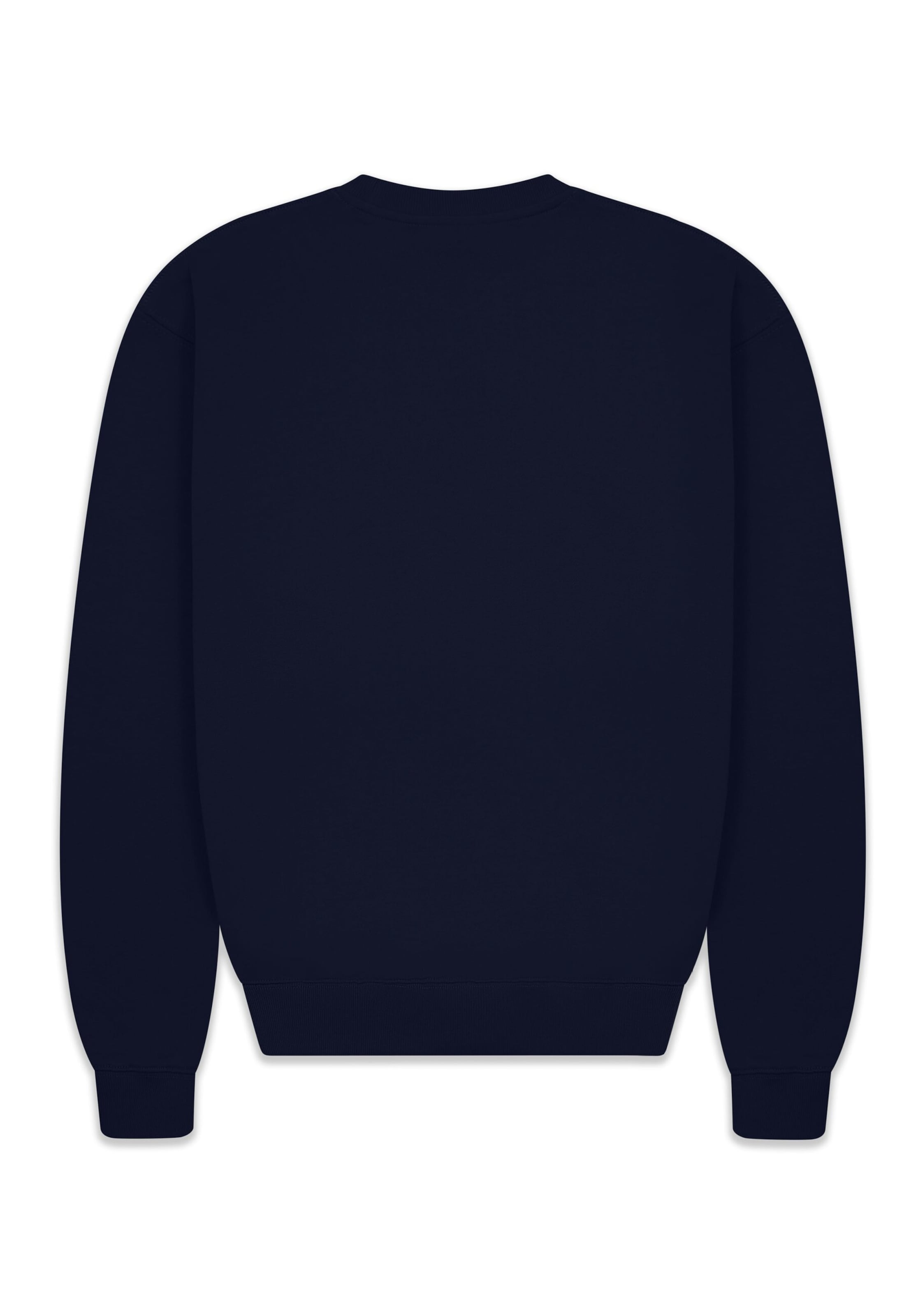 Dropsize Sweatshirt in Blauw