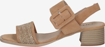 CAPRICE Sandals in Brown