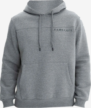 pelēks Arma Sportisks džemperis: no priekšpuses