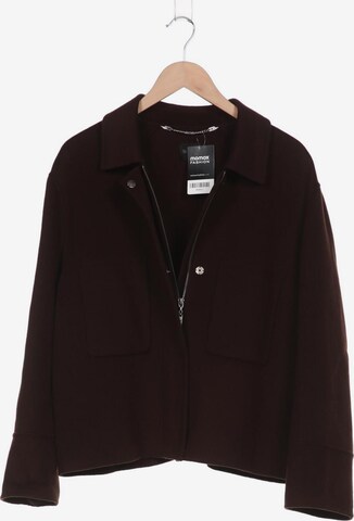 Madeleine Jacket & Coat in XXL in Brown: front