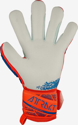 REUSCH Athletic Gloves 'Attrakt Freegel Silver Junior' in Red