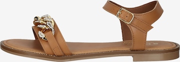 SCAPA Strap Sandals in Brown