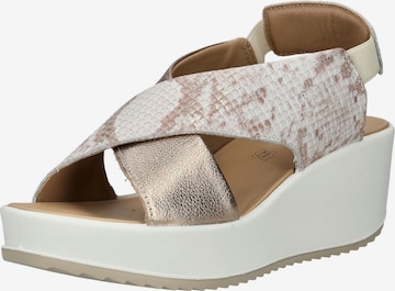 Sandalo di IGI&CO in oro: frontale