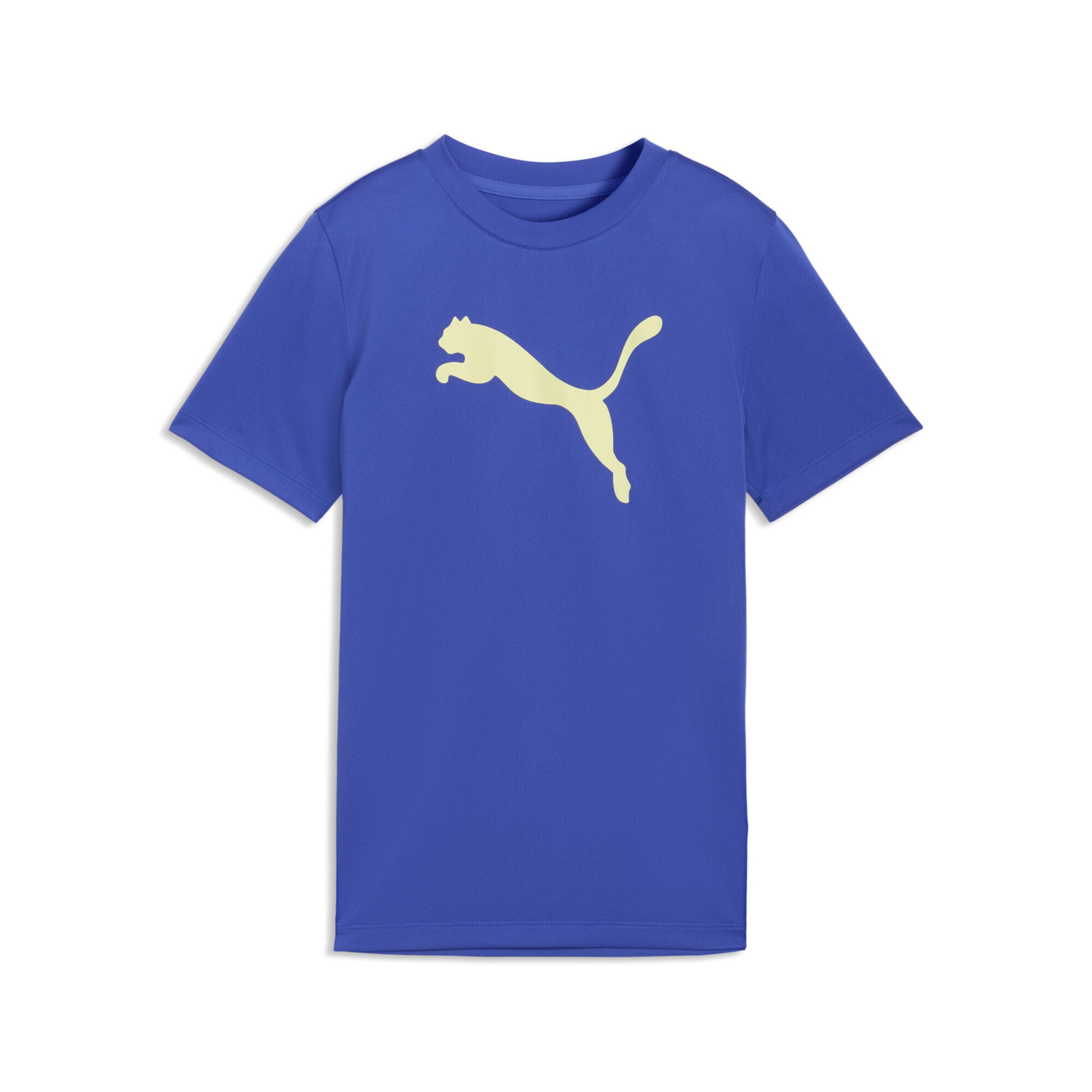 PUMA Functioneel shirt 'Train All Day Essentials' in Blauw: voorkant
