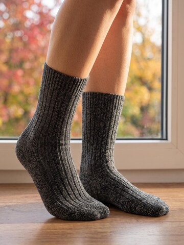 sockenkauf24 Sokken 'Norweger Wollsocken' in Grijs