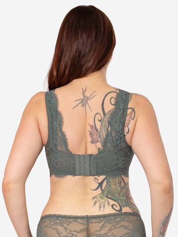 SugarShape Bralette Bra in Green