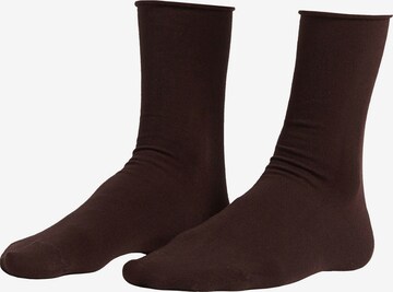 CALZEDONIA Socks in Brown: front