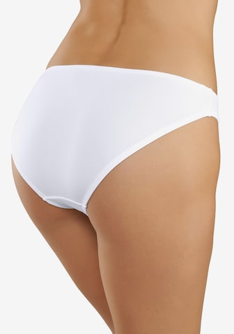 VIVANCE Panty in Mixed colors