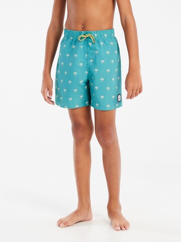 PROTEST Badeshorts 'PRTSteven JR' in Grün