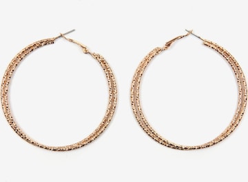 COLLEZIONE ALESSANDRO Earrings in Gold: front