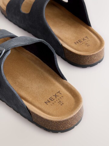 Next Mule in Blue