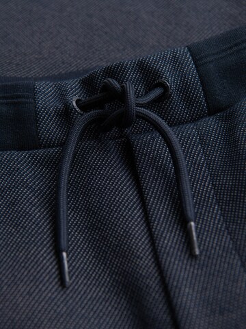 Ombre Slimfit Broek in Blauw