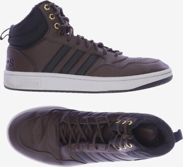 ADIDAS PERFORMANCE Sneakers & Trainers in 43 in Brown: front