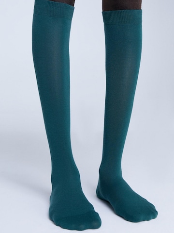 Albero Natur Knee High Socks in Green