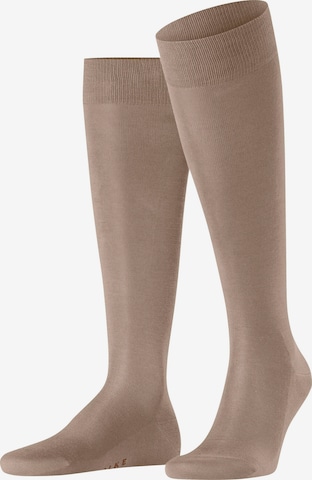 FALKE Knee High Socks 'Tiago' in Beige: front