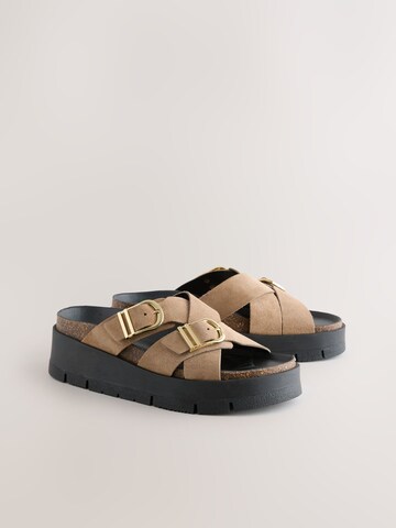 Next Muiltjes in Bruin