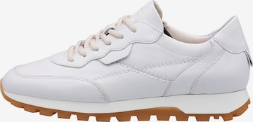 LLOYD Sneakers laag 'GIA' in Wit: voorkant