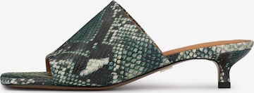 Mule Kazar en vert : devant