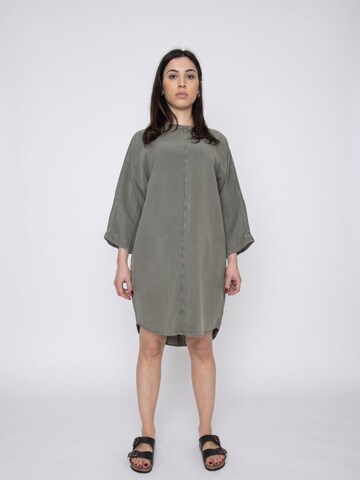 elvine Jurk 'Lynxie' in Groen