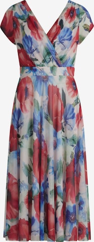 raudona Vera Mont Suknelė: priekis