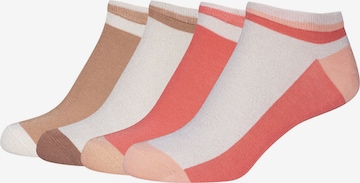 camano Ankle socks in Mixed colours: front