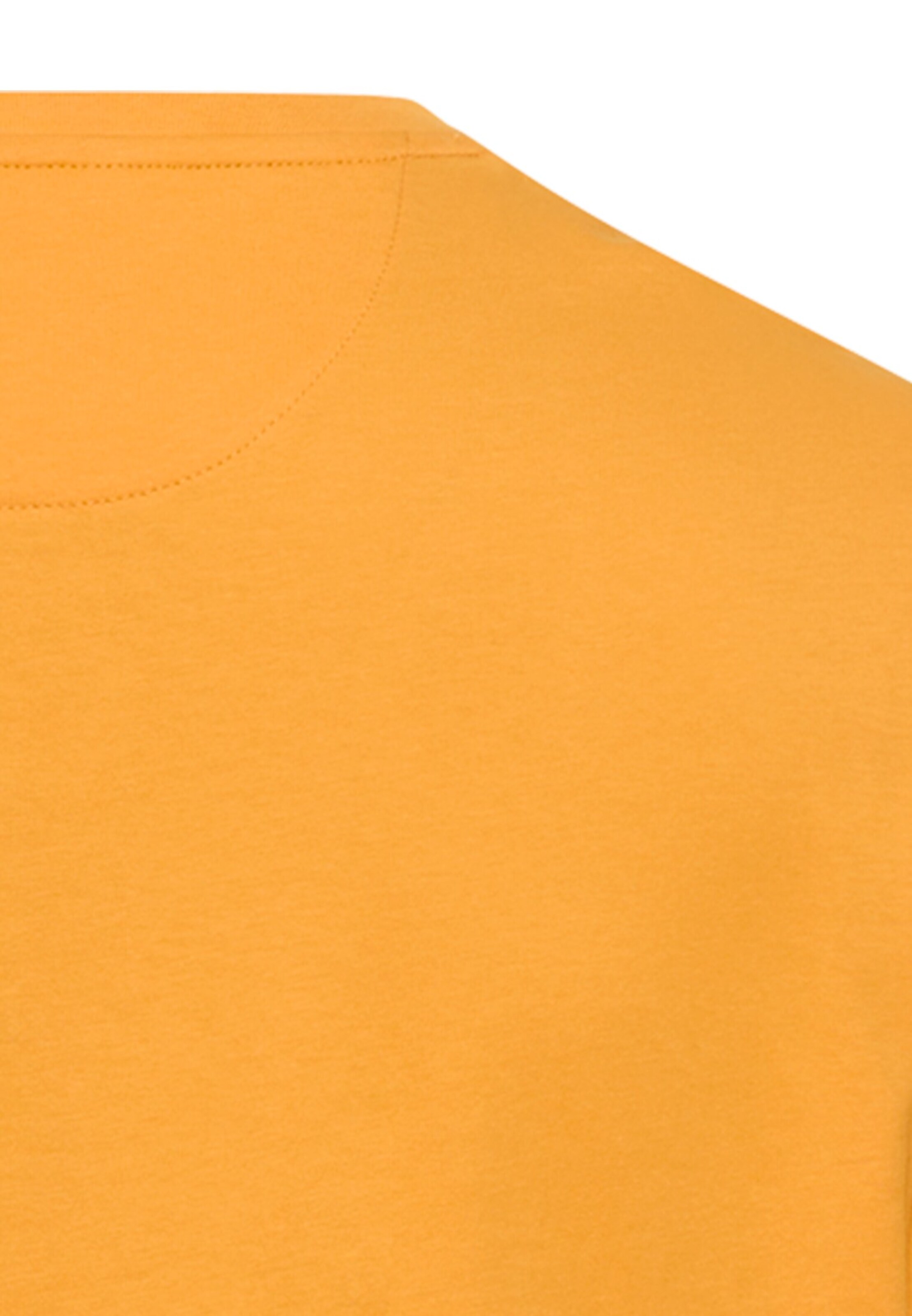CAMEL ACTIVE Shirt in Orange