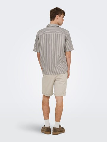 Only & Sons Regular Fit Skjorte 'ONSROBERTS' i grå