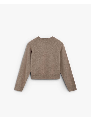 Scalpers Svetr 'Scmer R' – hnědá