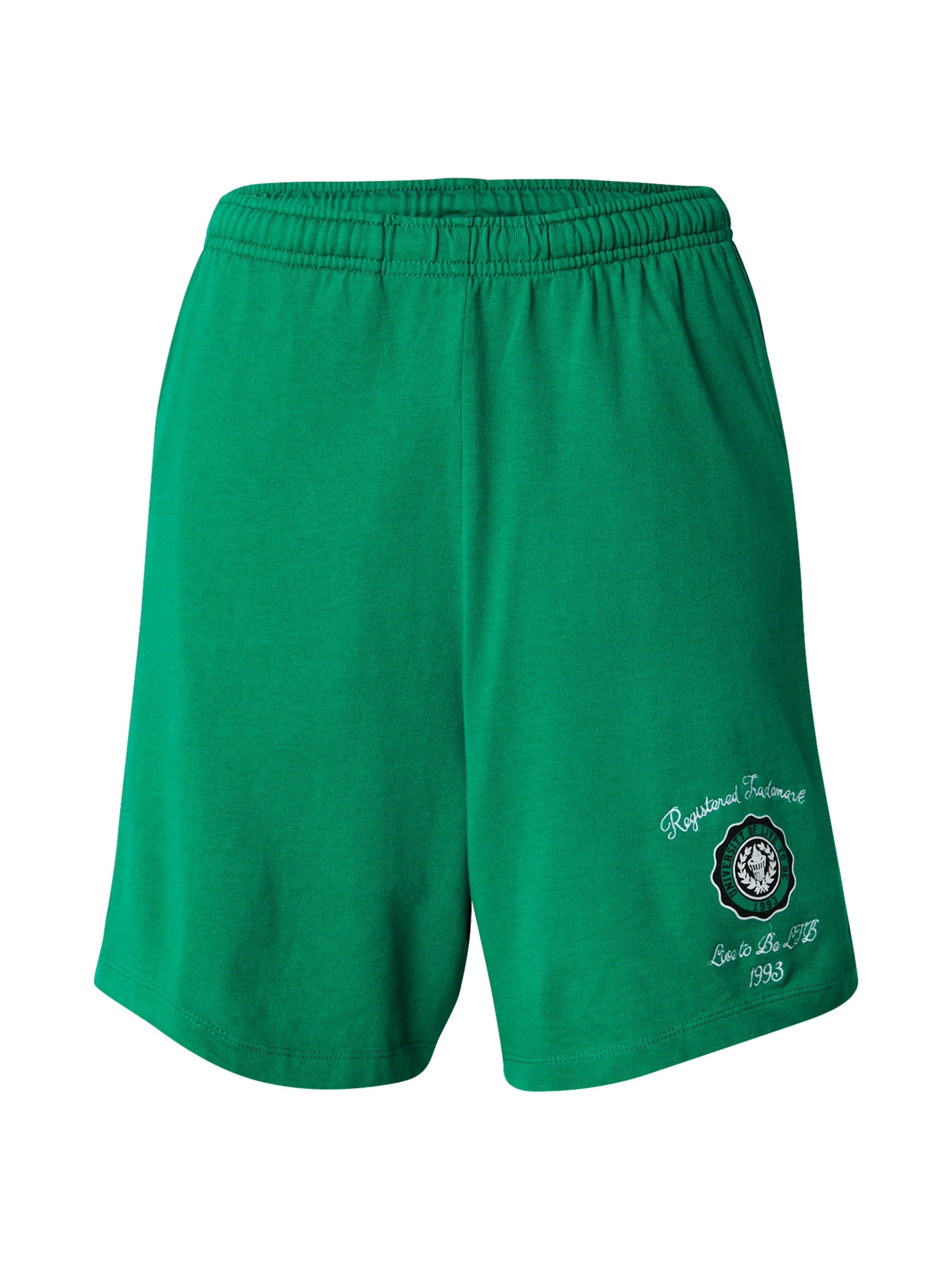 regular Pantaloni 'TIGANE' di LTB in verde: frontale