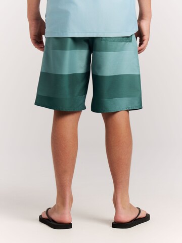 Shorts de bain 'PRTJames JR' PROTEST en vert