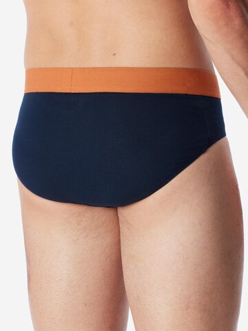 SCHIESSER Slip '95/5 Cotton' in Blauw