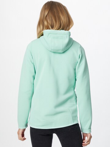 JACK WOLFSKIN Athletic fleece jacket 'Modesto' in Green