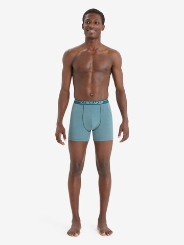 ICEBREAKER Athletic Underwear 'Anatomica' in Green