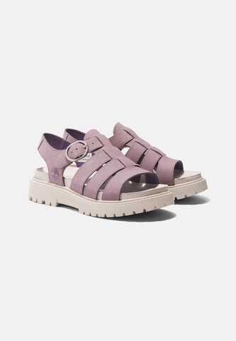 purpurinė TIMBERLAND Sandalai