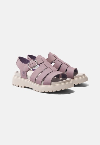 Sandales TIMBERLAND en violet