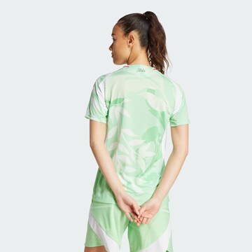 Maillot 'Italy 25 Away Authentic' ADIDAS PERFORMANCE en vert