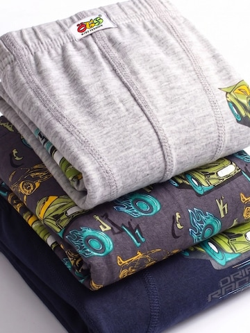 ÖTSGaće 'ÖTS Herren Boxerbriefs' - miks boja boja