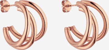 PURELEI Earrings 'Eono' in Gold: front