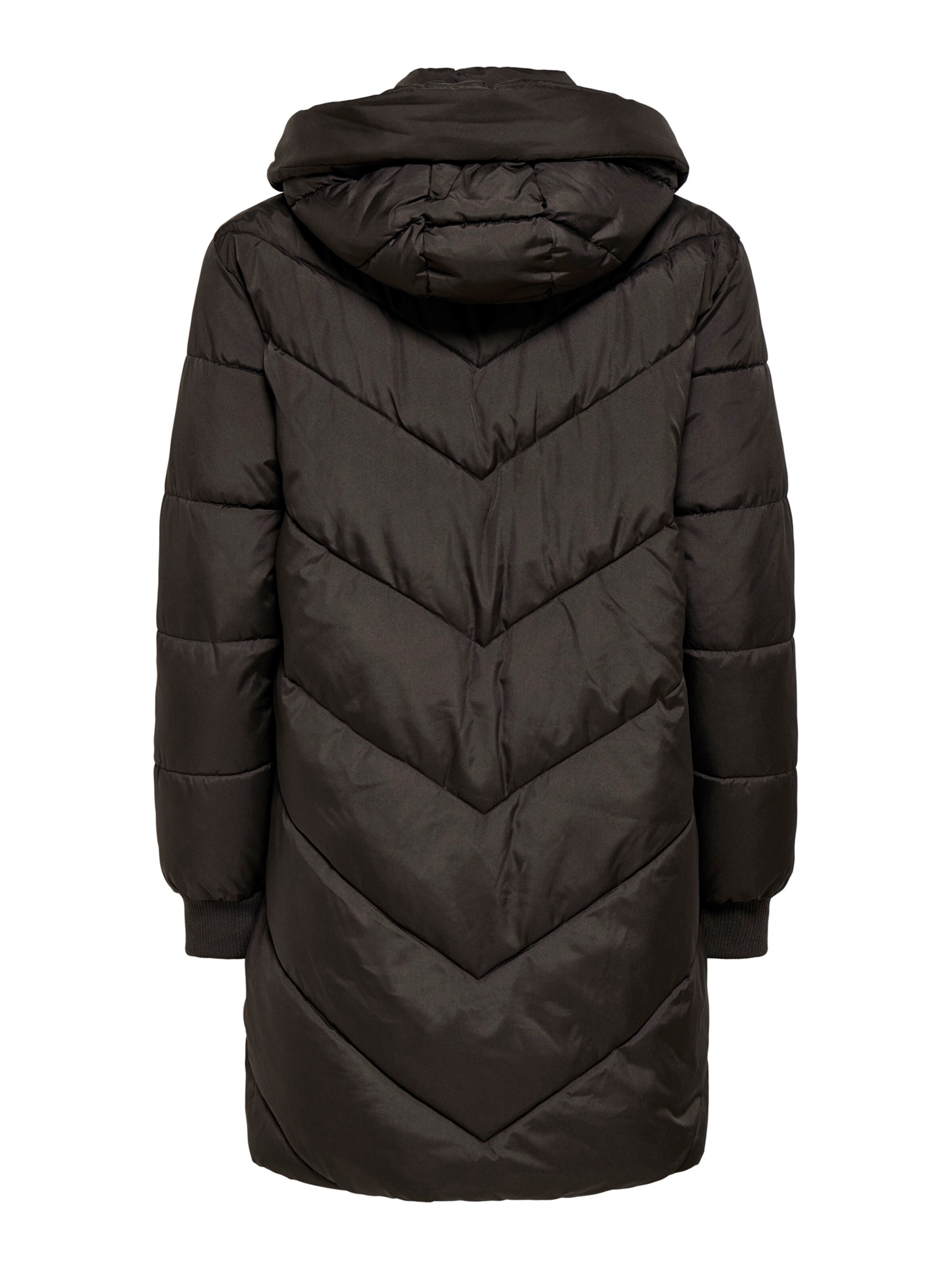 JDY Winter coat 'JDYSKYLAR' in Brown
