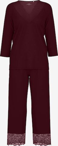 CALIDA Pajama 'Elegant Dreams' in Purple: front