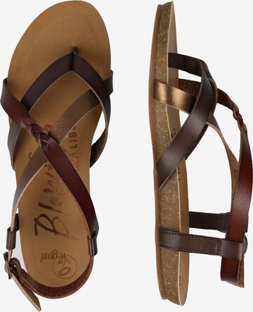 Blowfish Malibu T-Bar Sandals in Brown