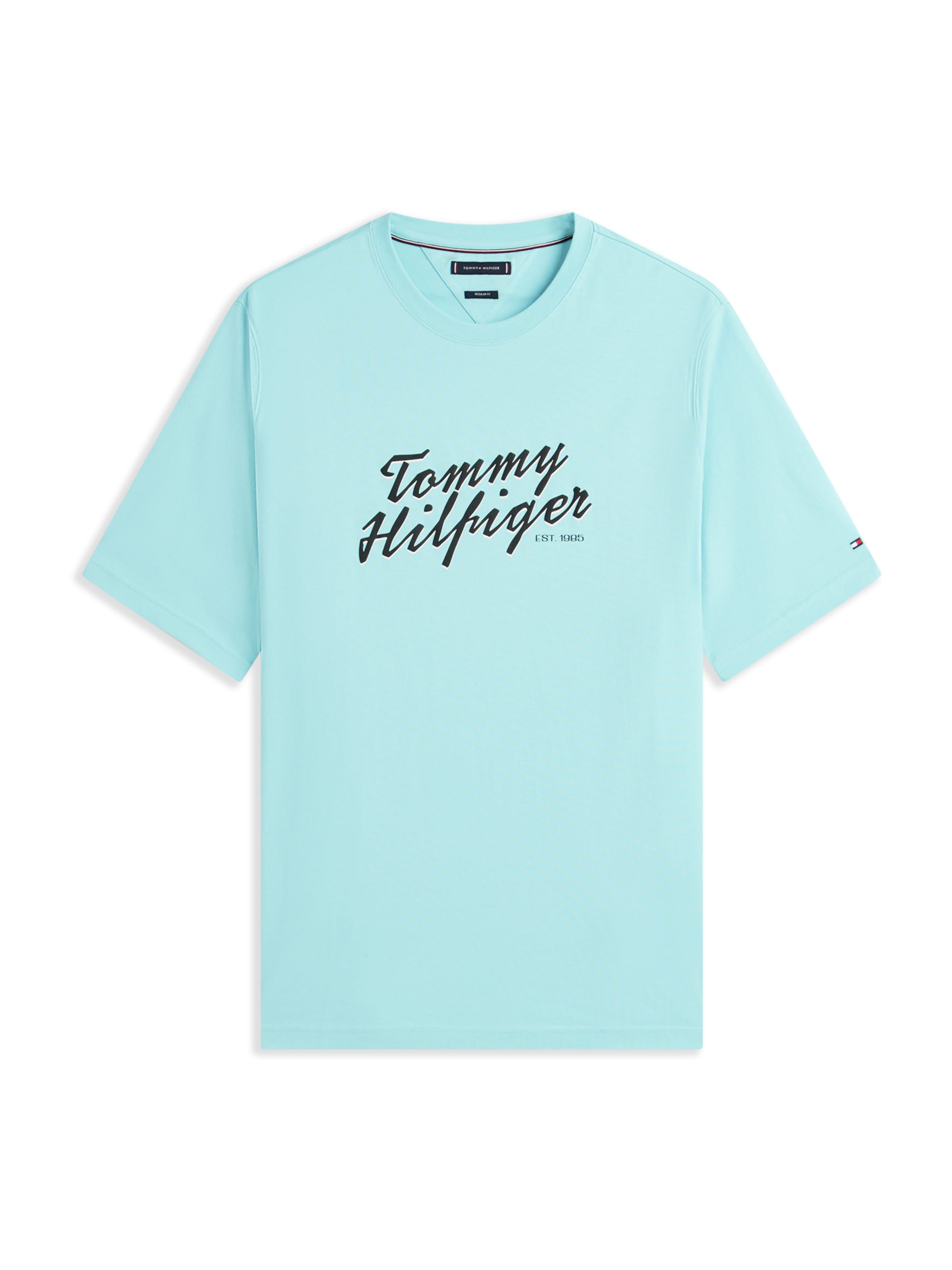 Tommy Hilfiger Big & Tall - Camiseta en azul: frente