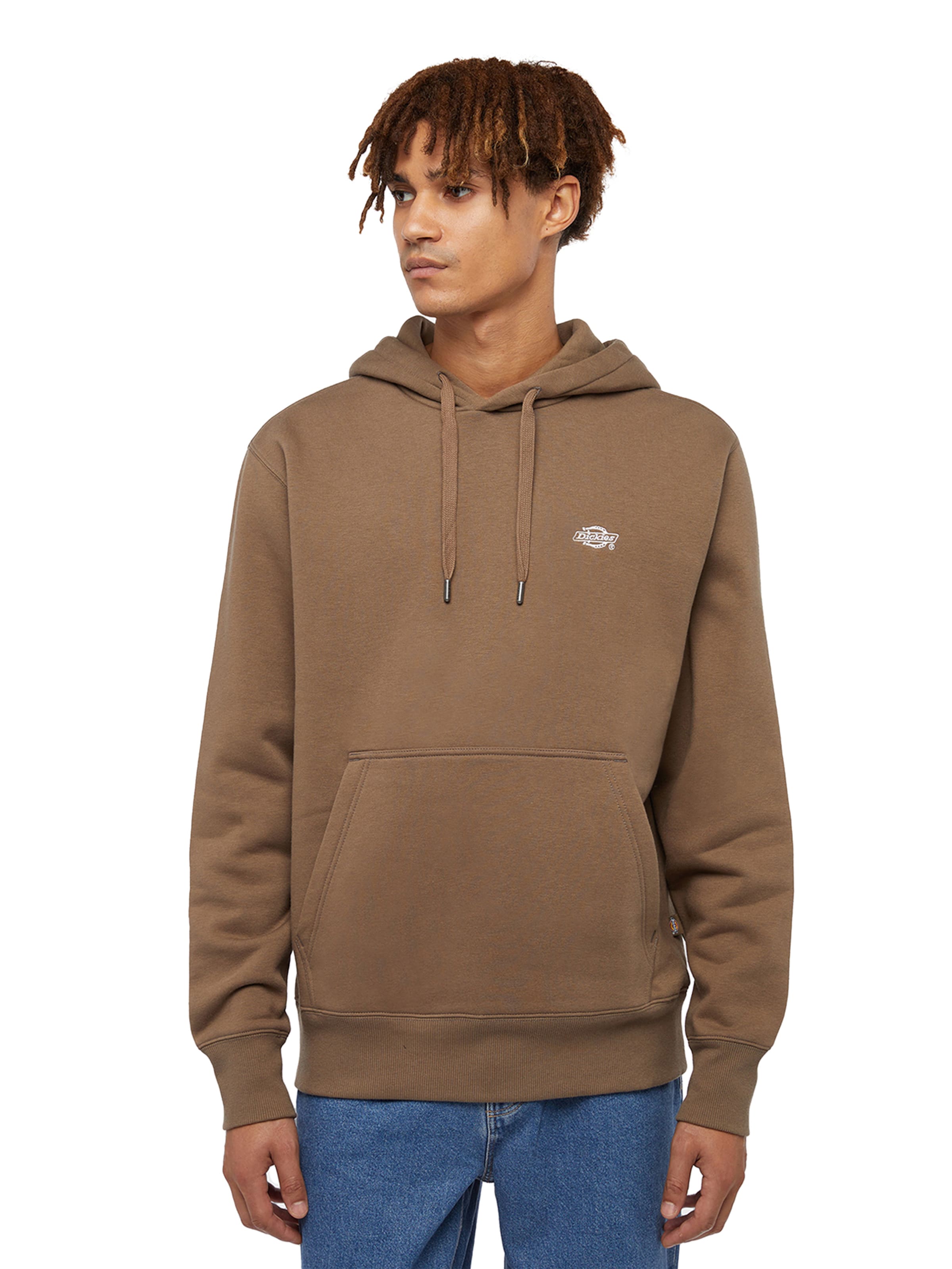 DICKIES Суичър 'SUMMERDALE' в кафяво: отпред