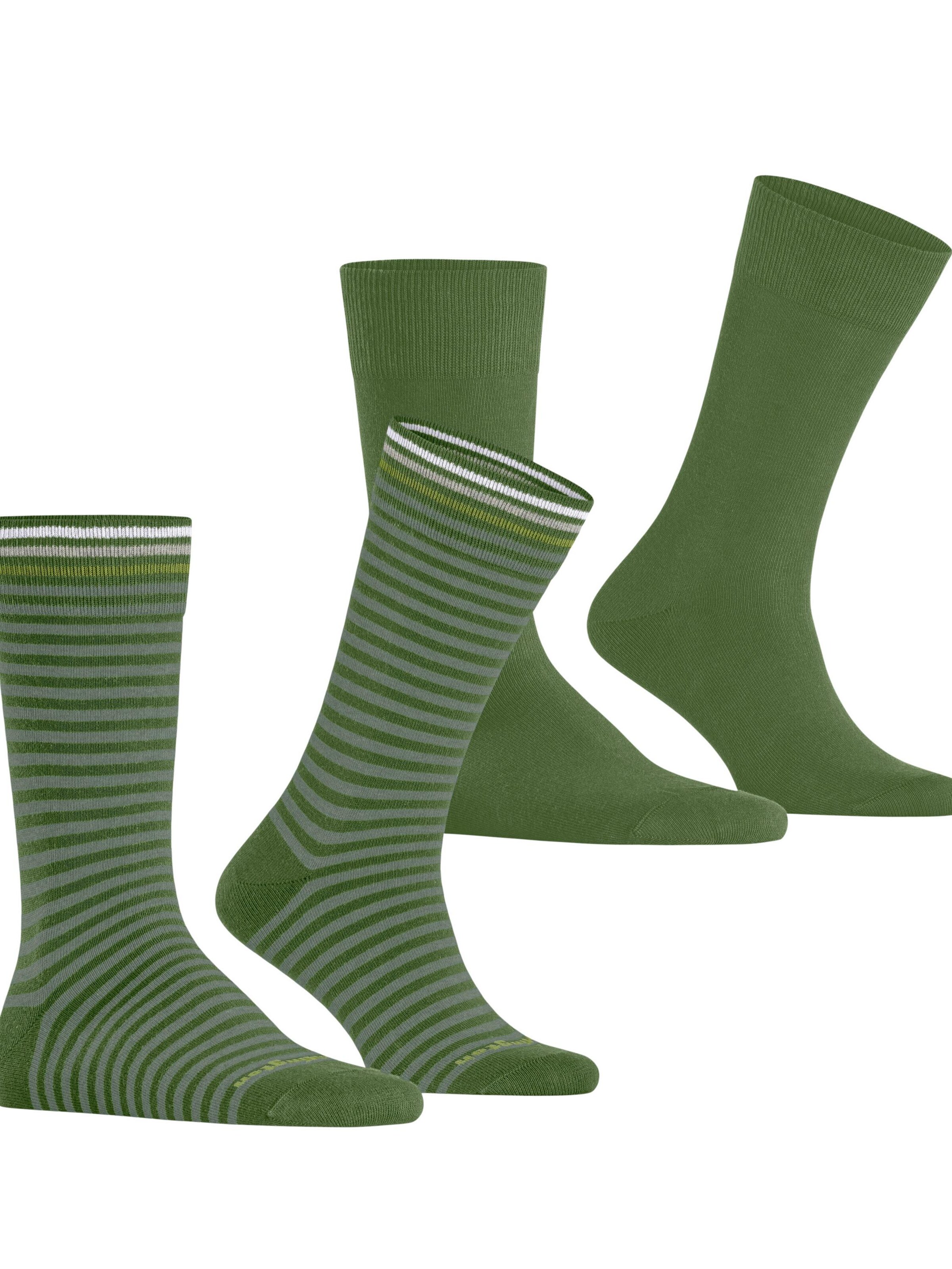 BURLINGTON Socks 'Everyday Stripe 2-Pack' in Green