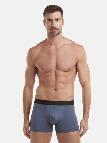 ADIDAS SPORTSWEAR - Cueca desportiva em azul: frente