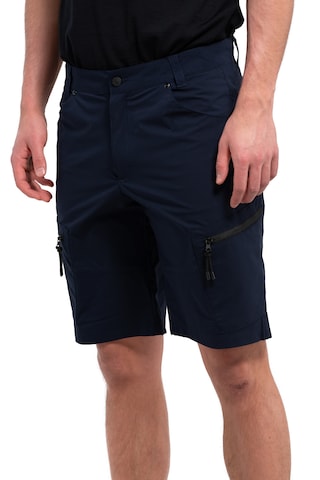 ICEPEAK Regular Outdoor Pants 'AHAUS' in Blue: front