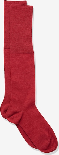 FALKE Socken in rot / kirschrot, Produktansicht