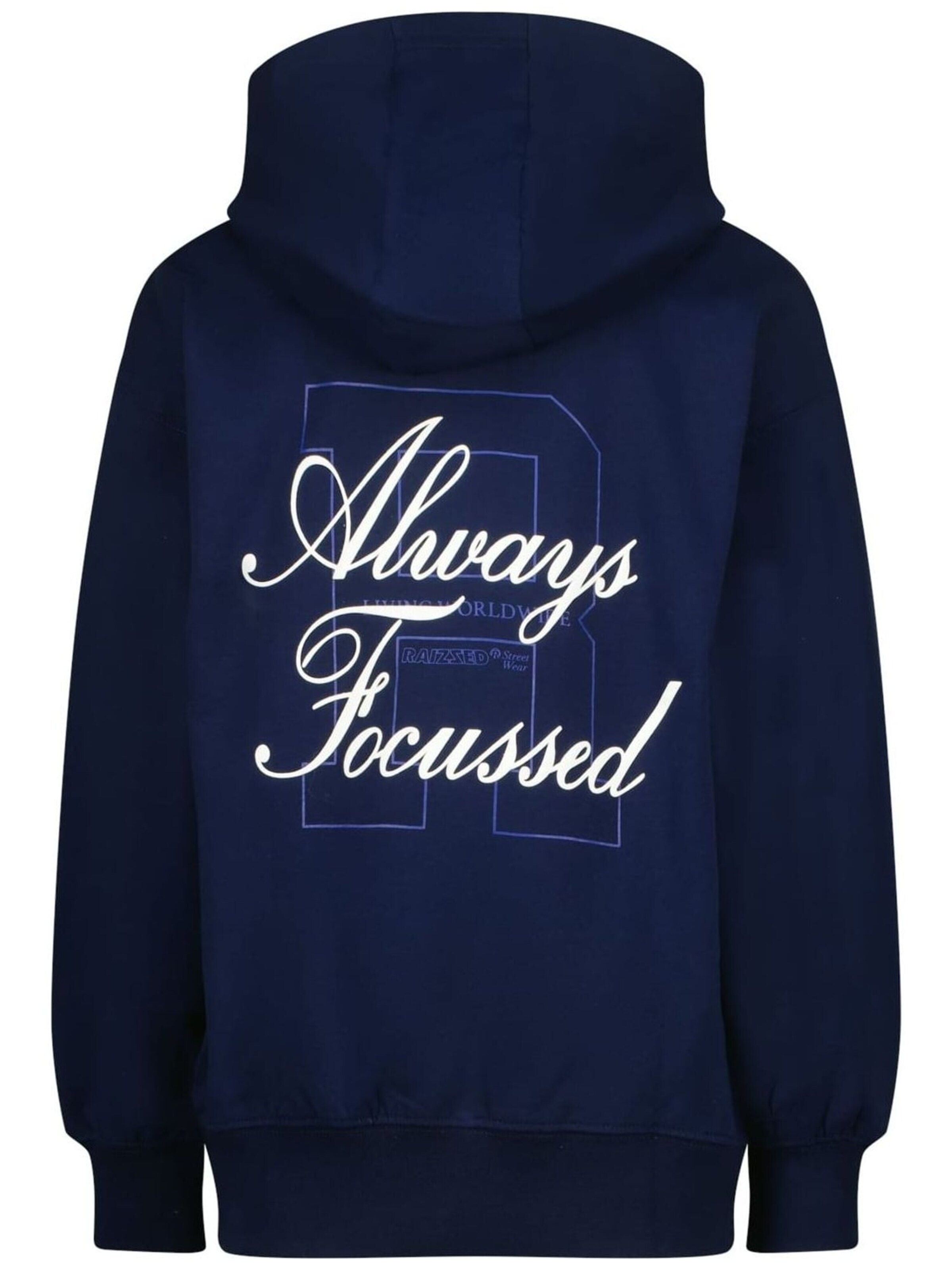 Raizzed Sweatshirt in Blauw