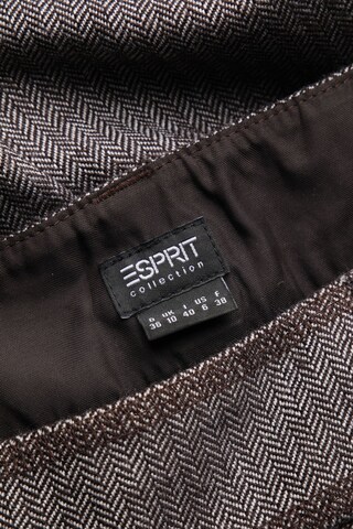 Esprit Collection Hose S in Braun